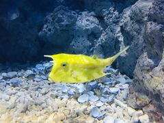 -福州罗源湾海洋世界旅游区