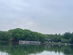 -新洲生态园