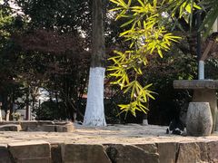-常熟方塔园