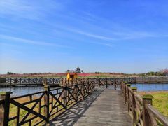 景点-上海海湾国家森林公园