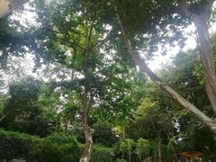 -北山街历史文化街区