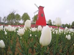 -廊坊文化艺术中心