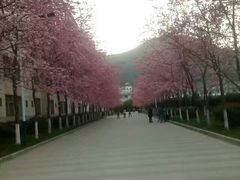 -昆明动物园