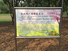 -西北湖绿化广场
