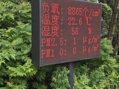 -汤旺河林海奇石景区