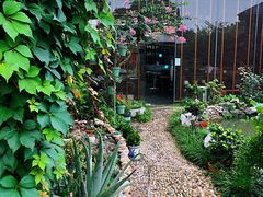 -漫渡庄绿岛花园•隐世庭园菜(滨湖店)