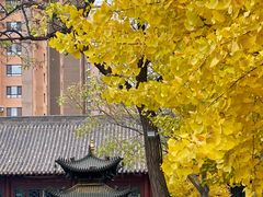 -护国法轮寺