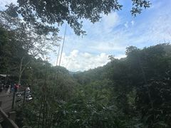 -野象谷景区