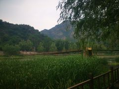 -白河湾生态旅游一条川