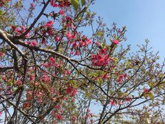 -映月湖公园