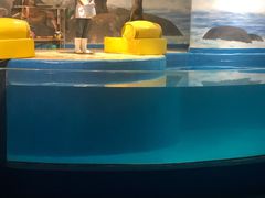 -梦幻海洋王国(吾悦广场张家港店)