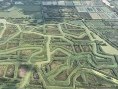 -泗洪洪泽湖湿地景区