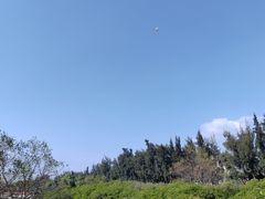 -宝安西湾红树林湿地公园