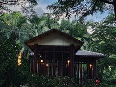 -深圳国际园林花卉博览园