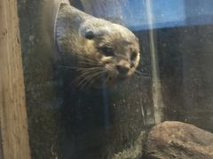 -洛阳龙门海洋馆
