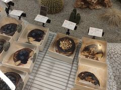 -OUR Bakery(SKP-S店)