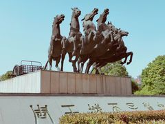 -洛阳周王城天子驾六博物馆