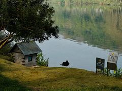 -重庆园博园