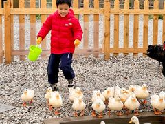 -季高兔窝窝亲子园(上海薰衣草公园店)