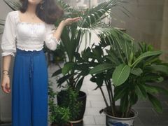 -泉乐坊步行街(烟酒特产平价超市店)