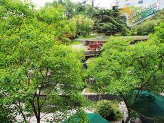 -上海瑞金洲际酒店