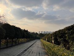 -树山生态村