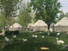 -九十九顶毡房(阜石路店)