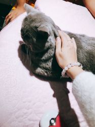 -璀璨&星光美甲美睫店