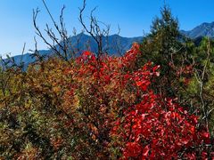 -玉渡山自然风景区