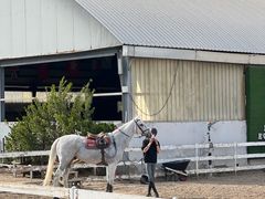 -月河湾马术俱乐部(朝阳店)