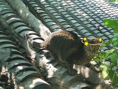 景观位-EATALIA意塔利意式餐厅(鼓楼店)