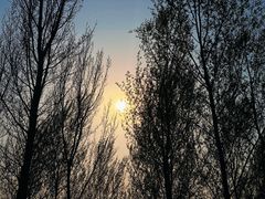 -东郊湿地公园