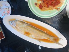 清蒸太湖野生大白鱼-梅飞酒家(名辉豪庭店)