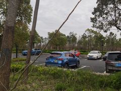 -春花秋色城市公园