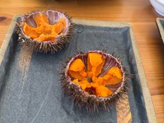 -海胆小馆(东北水饺·春柳店)