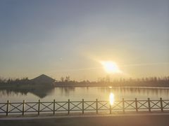 -盐城丹顶鹤湿地生态旅游区