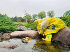 -白塘生态植物园