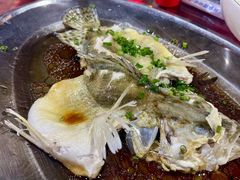 -石岐乳鸽村(南海第三分店)