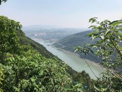 -铁山坪森林公园