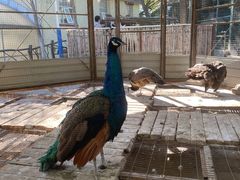 -天毓山庄·餐厅