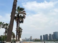 -金沙湖公园