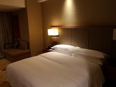 -成都天府丽都喜来登饭店