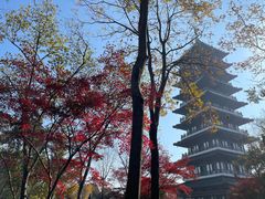 -宜兴龙背山森林公园