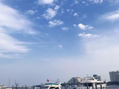 -日照海滨国家森林公园