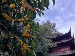 -灵顺寺