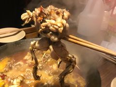 -老天桥蛙炉火锅(姑苏总店)