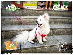 -南锣鼓巷