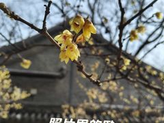 -国家植物园
