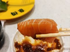 -京樽回転寿司(奥林匹克店)