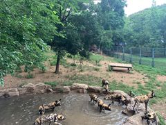 -大连森林动物园